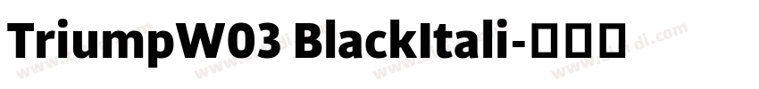 TriumpW03 BlackItali字体转换